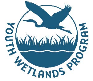 Build a Wetlands Model!	